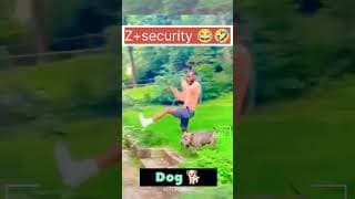 https://i.ytimg.com/vi/-Zzy2xg5ffE/hqdefault.jpg