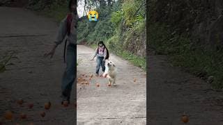 https://i.ytimg.com/vi/-e5lbt9Wp3E/hqdefault.jpg