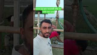 https://i.ytimg.com/vi/1sYxC6dutWQ/hqdefault.jpg
