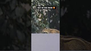https://i.ytimg.com/vi/24MhWfXXLRg/hqdefault.jpg