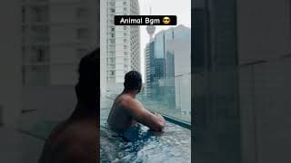 https://i.ytimg.com/vi/3FYOm6A8Pdw/hqdefault.jpg