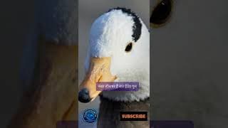 https://i.ytimg.com/vi/3oR-3lywoQo/hqdefault.jpg