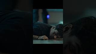 https://i.ytimg.com/vi/6w_Wy2Sb82w/hqdefault.jpg