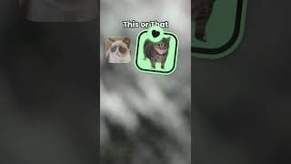 https://i.ytimg.com/vi/B28hHIWGgvE/hqdefault.jpg
