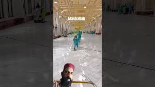 https://i.ytimg.com/vi/C8JP1IIV11k/hqdefault.jpg