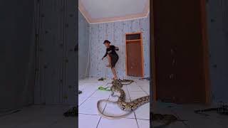 https://i.ytimg.com/vi/DVHaeCCwaYg/hqdefault.jpg