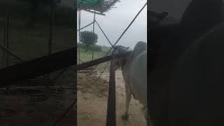 https://i.ytimg.com/vi/DaNSVajZxUw/hqdefault.jpg