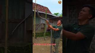 https://i.ytimg.com/vi/I1cj7eGuRHA/hqdefault.jpg