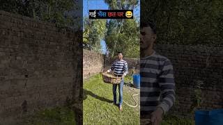 https://i.ytimg.com/vi/KDv3vY8niq0/hqdefault.jpg