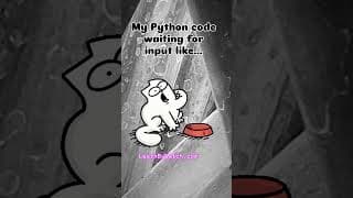 https://i.ytimg.com/vi/LEUzxQlj9cQ/hqdefault.jpg