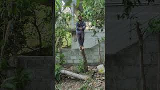https://i.ytimg.com/vi/MU9Xd0Nbk-k/hqdefault.jpg