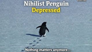 https://i.ytimg.com/vi/Me06SiqmHXg/hqdefault.jpg