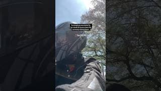 https://i.ytimg.com/vi/P32jvAc96CQ/hqdefault.jpg
