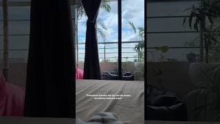 https://i.ytimg.com/vi/QSH0Cc-8TL8/hqdefault.jpg