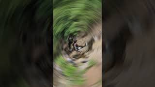 https://i.ytimg.com/vi/SJ9WPGE-H6o/hqdefault.jpg