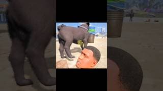 https://i.ytimg.com/vi/UjkeTBouYEM/hqdefault.jpg