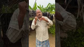 https://i.ytimg.com/vi/X2s8NyWWyXQ/hqdefault.jpg