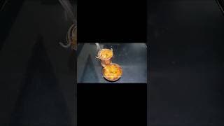 https://i.ytimg.com/vi/XeaASPqpyaM/hqdefault.jpg