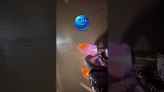 https://i.ytimg.com/vi/Xg6yGN7W5DY/hqdefault.jpg