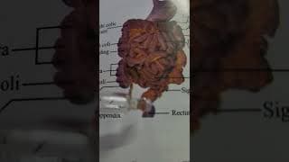 https://i.ytimg.com/vi/bcDdCnPnT0A/hqdefault.jpg
