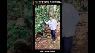 https://i.ytimg.com/vi/bu81LBNUJw4/hqdefault.jpg