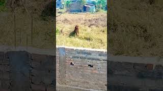 https://i.ytimg.com/vi/fKCbSA8Bp7U/hqdefault.jpg