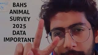 https://i.ytimg.com/vi/fN092Db4T84/hqdefault.jpg