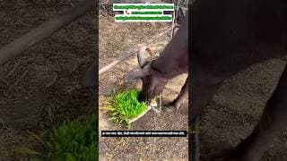https://i.ytimg.com/vi/k1Ub3TlxBDQ/hqdefault.jpg