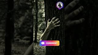https://i.ytimg.com/vi/mzri2VdLnF0/hqdefault.jpg