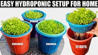 https://i.ytimg.com/vi/nry99o17DT0/hqdefault.jpg