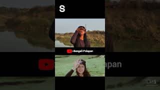 https://i.ytimg.com/vi/o-OZoynEDKI/hqdefault.jpg