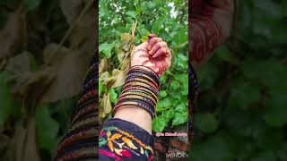 https://i.ytimg.com/vi/pkMo9dbhz2Y/hqdefault.jpg