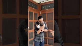 https://i.ytimg.com/vi/r-51xyo4lVo/hqdefault.jpg