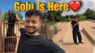 https://i.ytimg.com/vi/uJJN38f084A/hqdefault.jpg