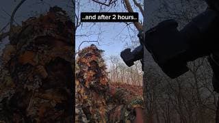 https://i.ytimg.com/vi/uh6au2BxP8Y/hqdefault.jpg