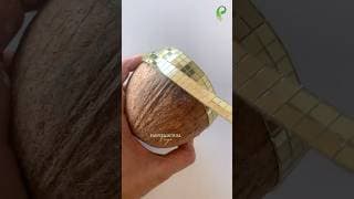 https://i.ytimg.com/vi/wQ3irgtaqfA/hqdefault.jpg