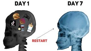 https://i.ytimg.com/vi/xI0jMzAr3GQ/hqdefault.jpg
