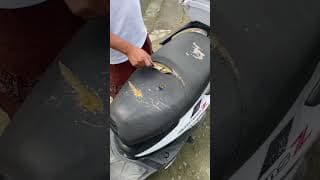 https://i.ytimg.com/vi/xRkJMcH5FRw/hqdefault.jpg