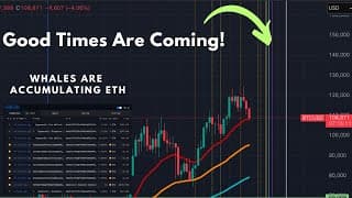 https://i.ytimg.com/vi/yjPdQ7muWFM/hqdefault.jpg