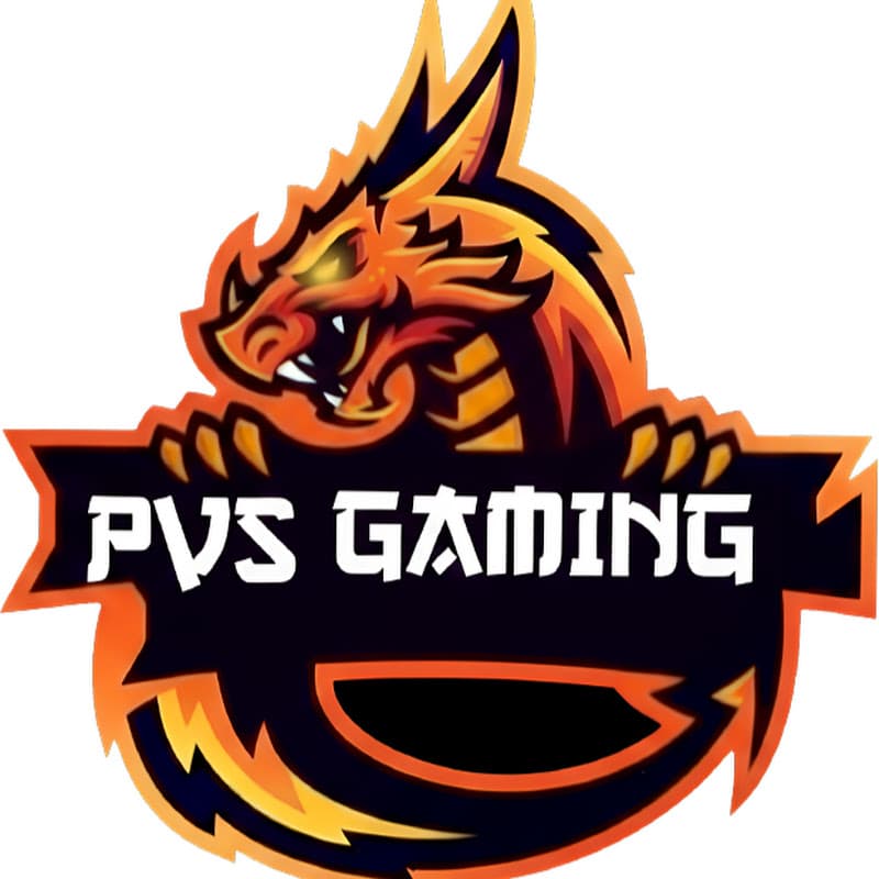 PVS GAMING 