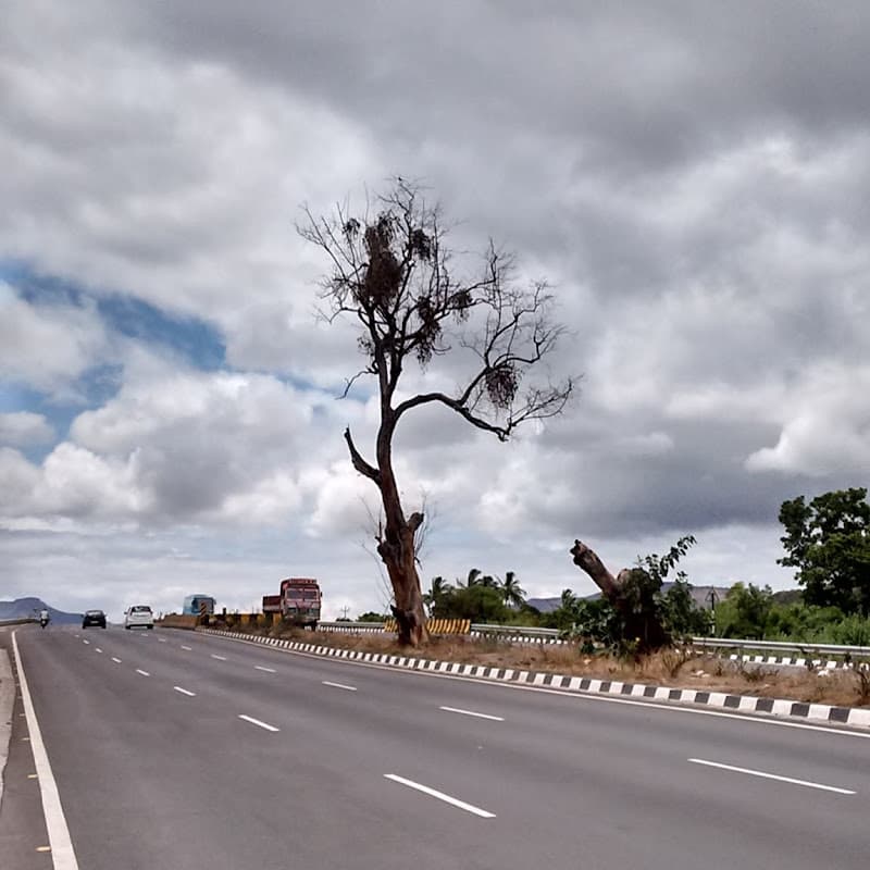 MaharashtraBharat