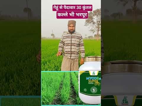 Recent post by FARMING GYAN