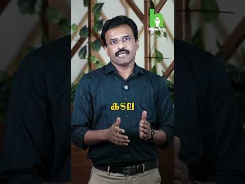 Recent post by Arogyam