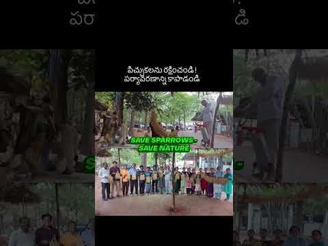 Recent post by Organic Prabha