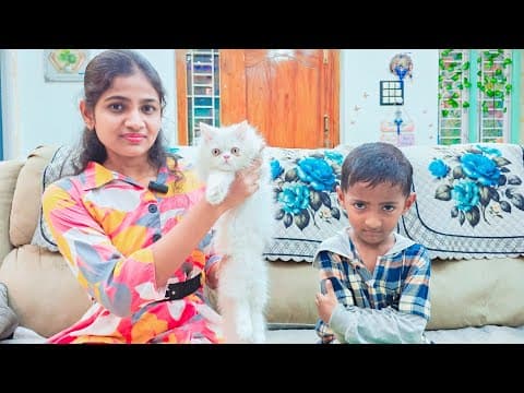 Recent post by Prabhu Sarala Lifestyle