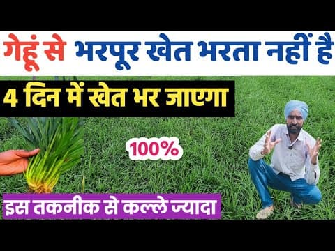 Recent post by FARMING GYAN