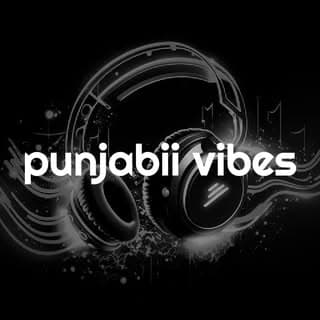 punjabi vibes