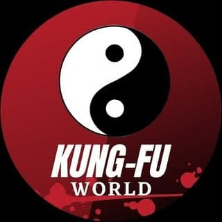 Kungfu world