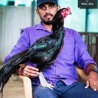 Siva Sulur(SulurSivaFarms)