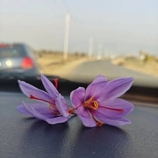 beauty_of_kashmir